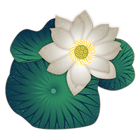 白色蓮花插畫 白色蓮花插畫